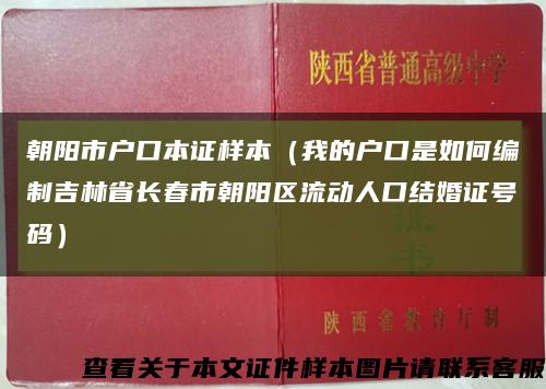 朝阳市户口本证样本（我的户口是如何编制吉林省长春市朝阳区流动人口结婚证号码）缩略图