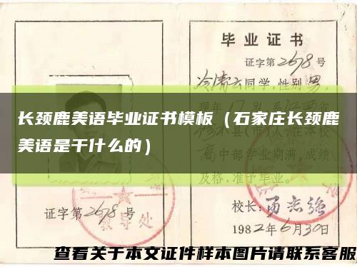 长颈鹿美语毕业证书模板（石家庄长颈鹿美语是干什么的）缩略图