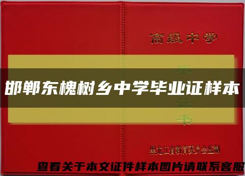 邯郸东槐树乡中学毕业证样本缩略图