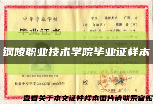 铜陵职业技术学院毕业证样本缩略图