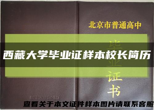 西藏大学毕业证样本校长简历缩略图