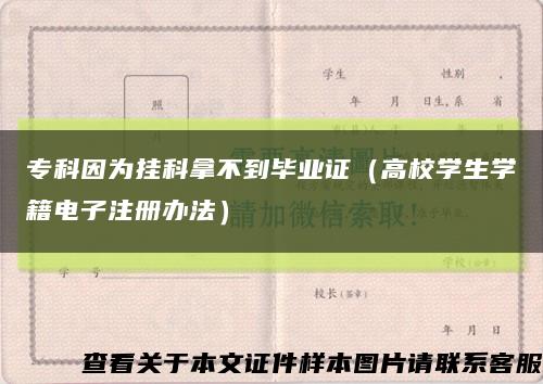 专科因为挂科拿不到毕业证（高校学生学籍电子注册办法）缩略图