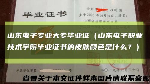 山东电子专业大专毕业证（山东电子职业技术学院毕业证书的皮肤颜色是什么？）缩略图