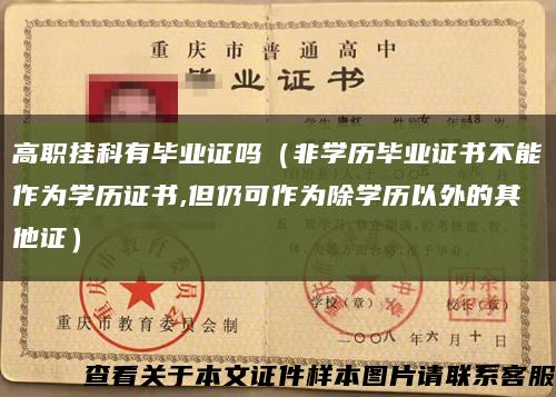 高职挂科有毕业证吗（非学历毕业证书不能作为学历证书,但仍可作为除学历以外的其他证）缩略图