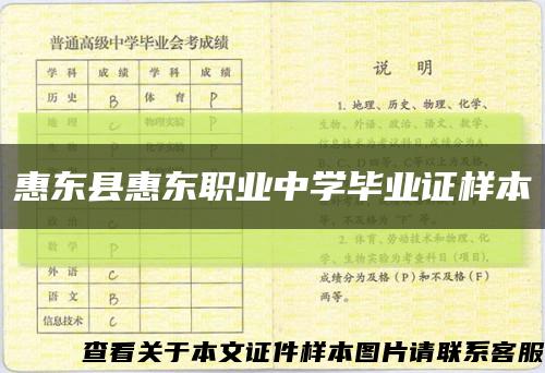 惠东县惠东职业中学毕业证样本缩略图