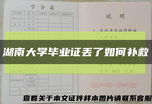 湖南大学毕业证丢了如何补救缩略图