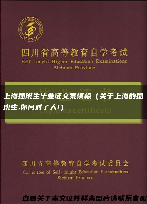 上海插班生毕业证文案模板（关于上海的插班生,你问对了人!）缩略图
