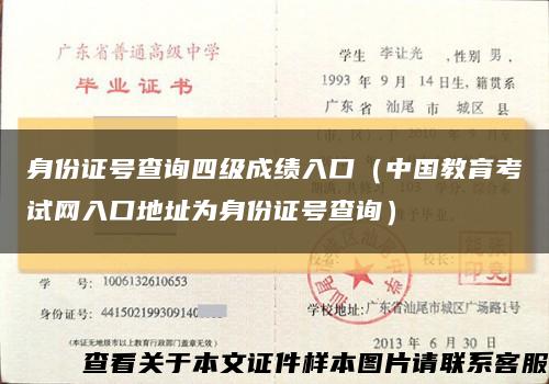 身份证号查询四级成绩入口（中国教育考试网入口地址为身份证号查询）缩略图
