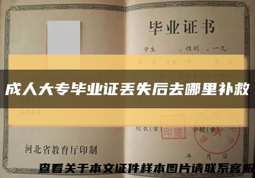 成人大专毕业证丢失后去哪里补救缩略图