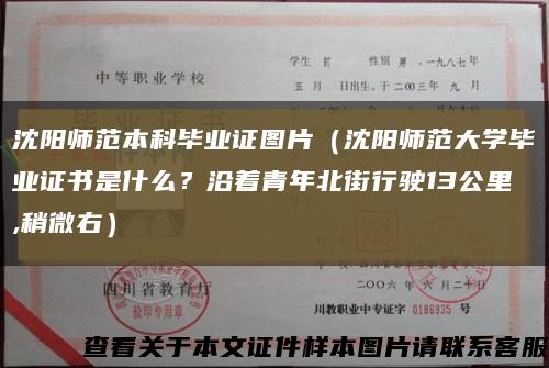 沈阳师范本科毕业证图片（沈阳师范大学毕业证书是什么？沿着青年北街行驶13公里,稍微右）缩略图