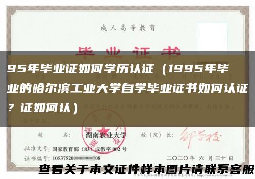 95年毕业证如何学历认证（1995年毕业的哈尔滨工业大学自学毕业证书如何认证？证如何认）缩略图