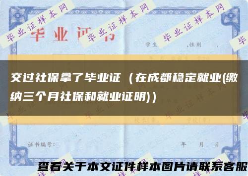 交过社保拿了毕业证（在成都稳定就业(缴纳三个月社保和就业证明)）缩略图
