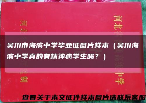吴川市海滨中学毕业证图片样本（吴川海滨中学真的有精神病学生吗？）缩略图