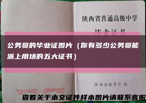 公务员的毕业证图片（你有多少公务员能派上用场的五大证书）缩略图
