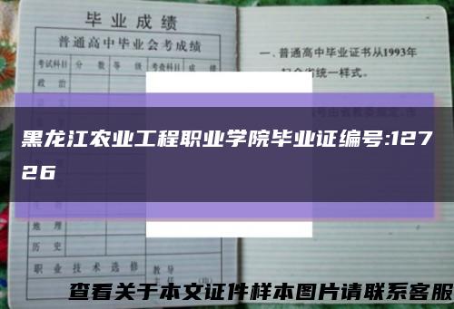 黑龙江农业工程职业学院毕业证编号:12726缩略图