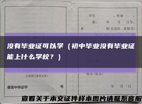 没有毕业证可以学（初中毕业没有毕业证能上什么学校？）缩略图