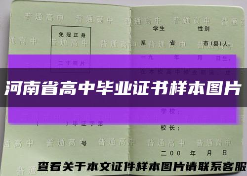 河南省高中毕业证书样本图片缩略图