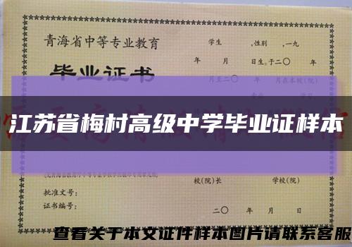江苏省梅村高级中学毕业证样本缩略图
