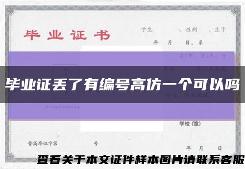 毕业证丢了有编号高仿一个可以吗缩略图