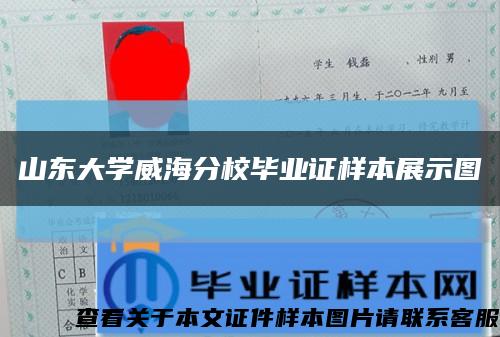 山东大学威海分校毕业证样本展示图缩略图