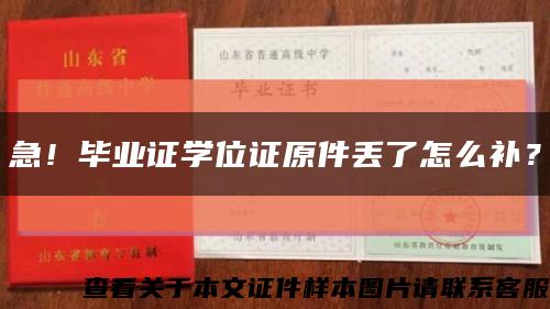 急！毕业证学位证原件丢了怎么补？缩略图