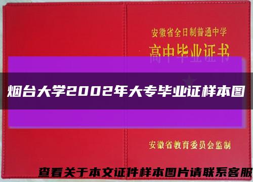 烟台大学2002年大专毕业证样本图缩略图