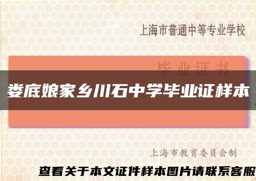 娄底娘家乡川石中学毕业证样本缩略图