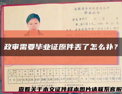 政审需要毕业证原件丢了怎么补？缩略图