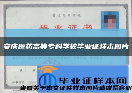 安庆医药高等专科学校毕业证样本图片缩略图