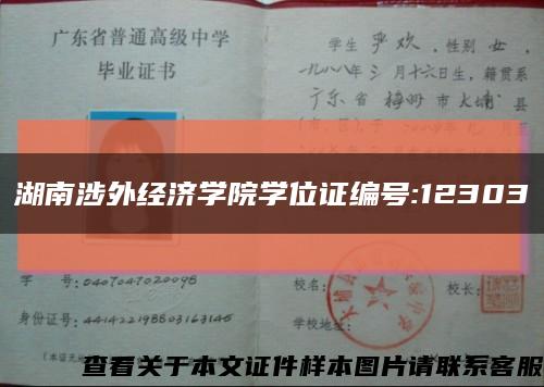 湖南涉外经济学院学位证编号:12303缩略图