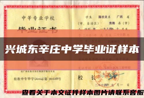 兴城东辛庄中学毕业证样本缩略图