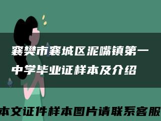 襄樊市襄城区泥嘴镇第一中学毕业证样本及介绍缩略图
