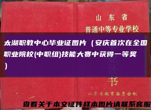 太湖职教中心毕业证图片（安庆首次在全国职业院校(中职组)技能大赛中获得一等奖）缩略图