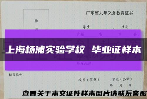 上海杨浦实验学校 毕业证样本缩略图
