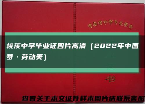 桃溪中学毕业证图片高清（2022年中国梦·劳动美）缩略图