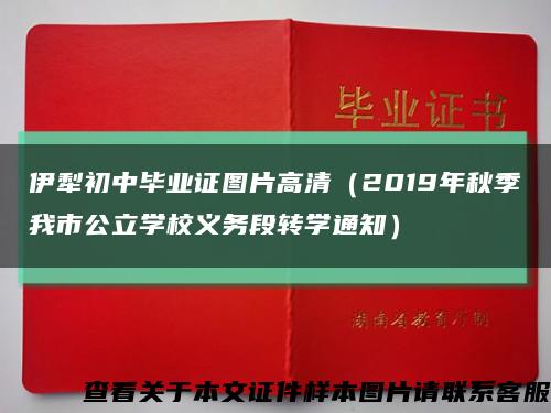 伊犁初中毕业证图片高清（2019年秋季我市公立学校义务段转学通知）缩略图