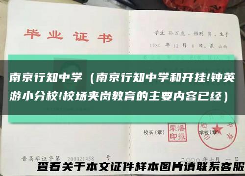 南京行知中学（南京行知中学和开挂!钟英游小分校!校场夹岗教育的主要内容已经）缩略图