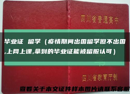 毕业证 留学（疫情期间出国留学但不出国,上网上课,拿到的毕业证能被留服认可）缩略图