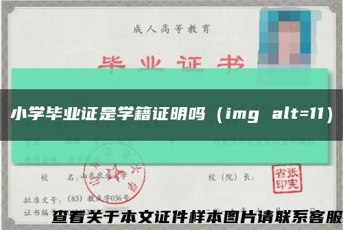 小学毕业证是学籍证明吗（img alt=11）缩略图