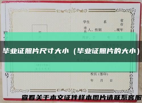 毕业证照片尺寸大小（毕业证照片的大小）缩略图