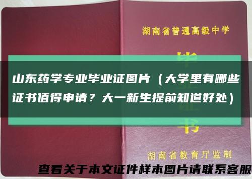 山东药学专业毕业证图片（大学里有哪些证书值得申请？大一新生提前知道好处）缩略图