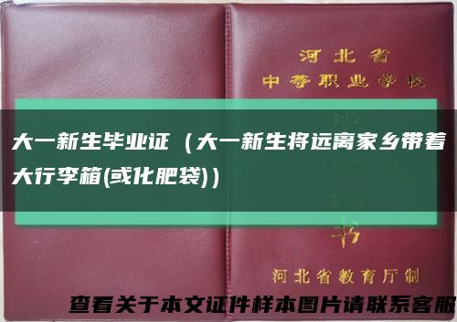 大一新生毕业证（大一新生将远离家乡带着大行李箱(或化肥袋)）缩略图