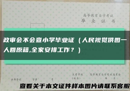 政审会不会查小学毕业证（人民视觉供图一人回原籍,全家安排工作？）缩略图