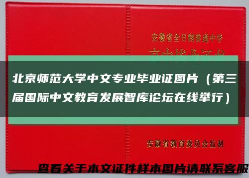 北京师范大学中文专业毕业证图片（第三届国际中文教育发展智库论坛在线举行）缩略图