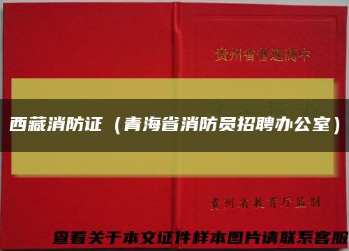 西藏消防证（青海省消防员招聘办公室）缩略图