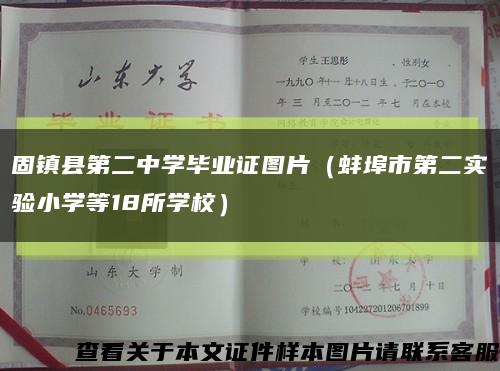 固镇县第二中学毕业证图片（蚌埠市第二实验小学等18所学校）缩略图