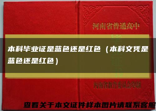 本科毕业证是蓝色还是红色（本科文凭是蓝色还是红色）缩略图
