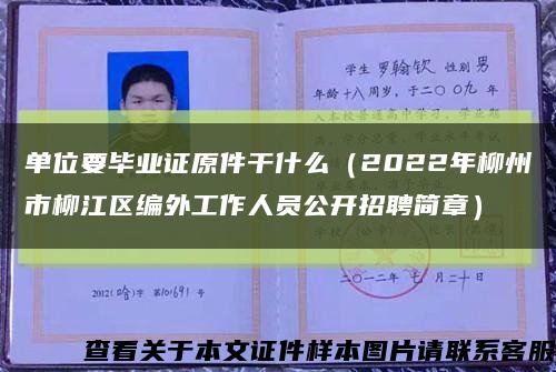 单位要毕业证原件干什么（2022年柳州市柳江区编外工作人员公开招聘简章）缩略图