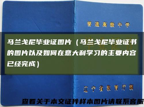 马兰戈尼毕业证图片（马兰戈尼毕业证书的图片以及如何在意大利学习的主要内容已经完成）缩略图