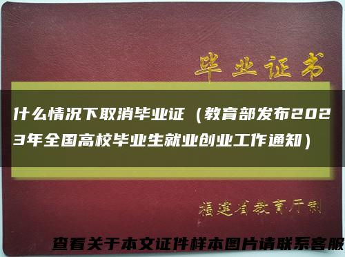什么情况下取消毕业证（教育部发布2023年全国高校毕业生就业创业工作通知）缩略图